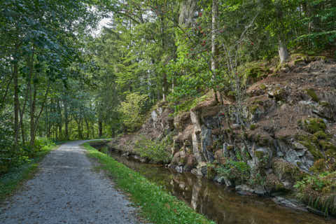 Gemeinde Waldkirchen Landkreis Freyung-Grafenau Saußbachklamm (Dirschl Johann) Deutschland FRG